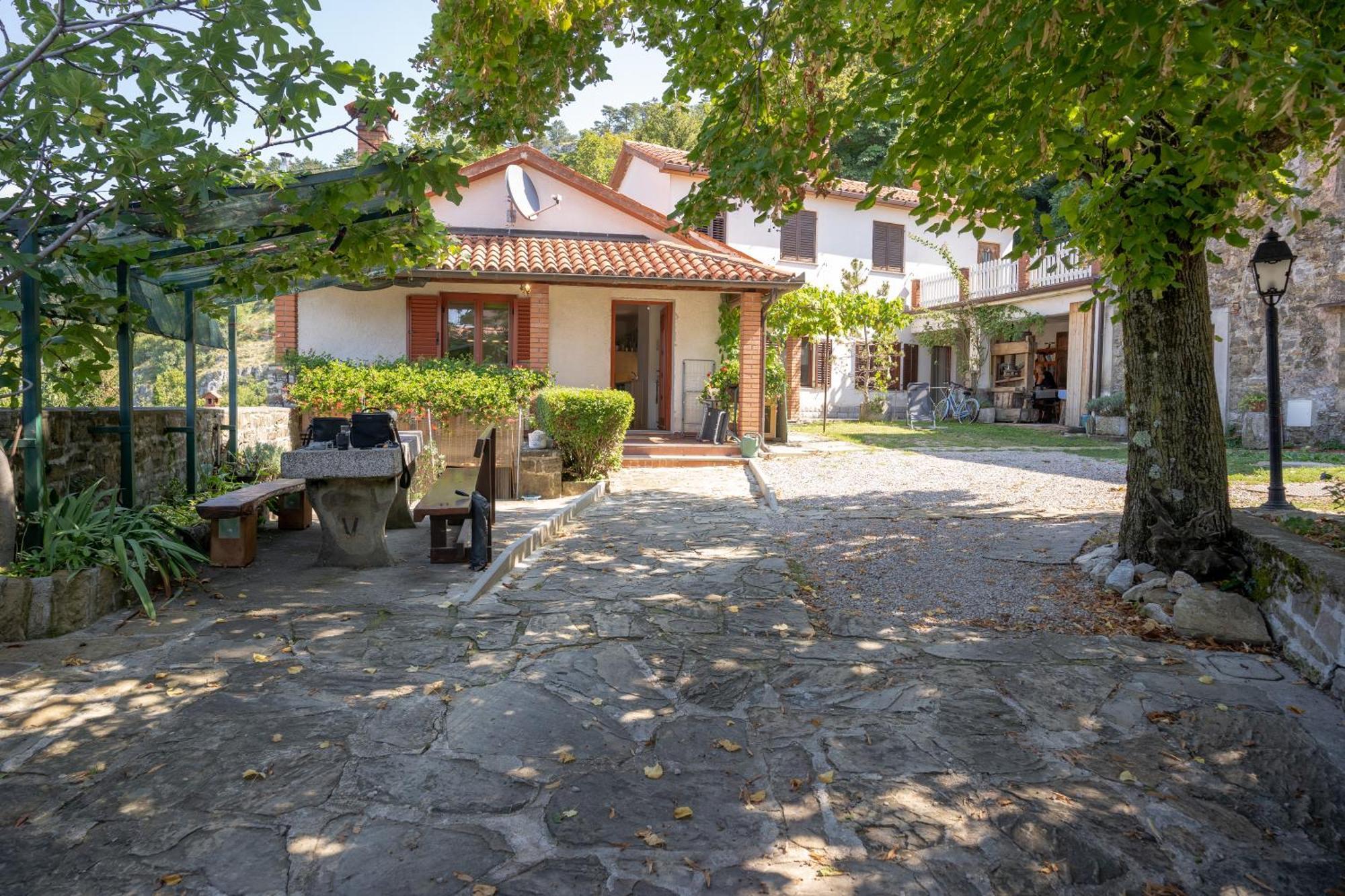 Violet'S Place Črni Kal エクステリア 写真